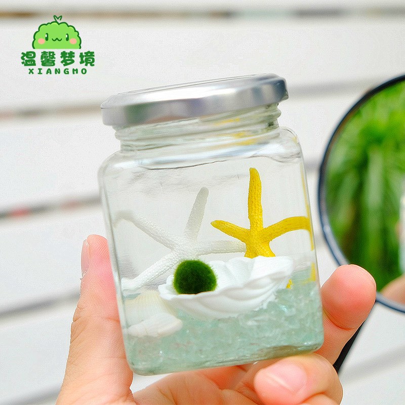 现货速发乖乖瓶mimo幸福海藻球微景观生态瓶迷你盆栽创意礼物水培