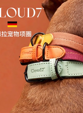 【Cloud7马德拉狗项圈牵引绳】大中小型犬宠物胸背牵引正品保证