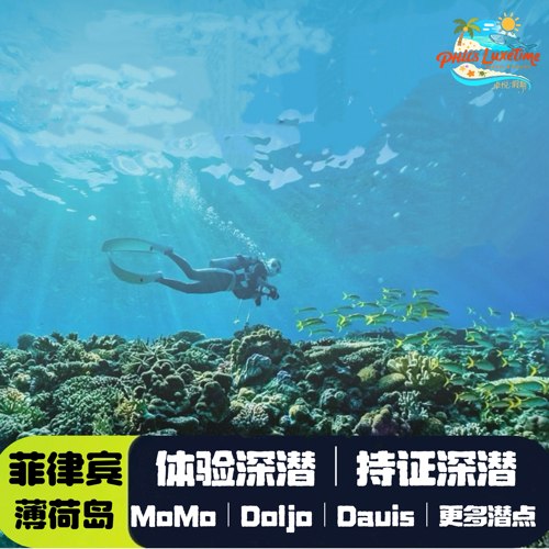 【专业】自营潜店|自有潜船|专业潜导|包含深潜装备|放心潜水无额外消费 【用心】持证深潜根据潜水等级合理安排潜伴|专业潜导1V4更多小众潜点 【特色】体验深潜专业中文教练讲解|潜导海下1对1潜水|赠送视频和照片 【服务】出游前中后中文服务群全程跟踪|24小时客服|任何问题及时解决