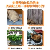 新品 驱猫神器防猫乱尿上床神器z橘子味喷雾剂汽车轮胎防狗尿喷剂