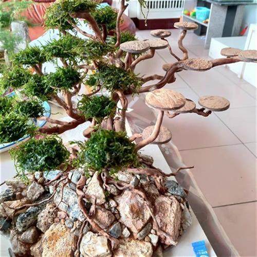 极速椰壳圆片椰壳蒙心鱼缸造y景莫斯树材料椰壳垫片椰壳雕刻材料