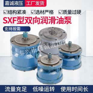 极速F型润滑油泵润滑油泵密封油燃油输送泵T齿轮液压转子泵