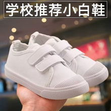 幼儿园小白鞋学生童鞋帆布鞋白球鞋儿童白布鞋男童女童白色室内鞋