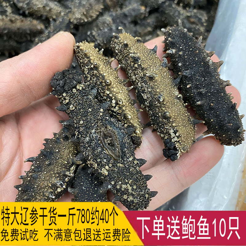 送鲍鱼大连9年淡干海参一斤500g干货深海辽刺参海渗叁礼盒非即食