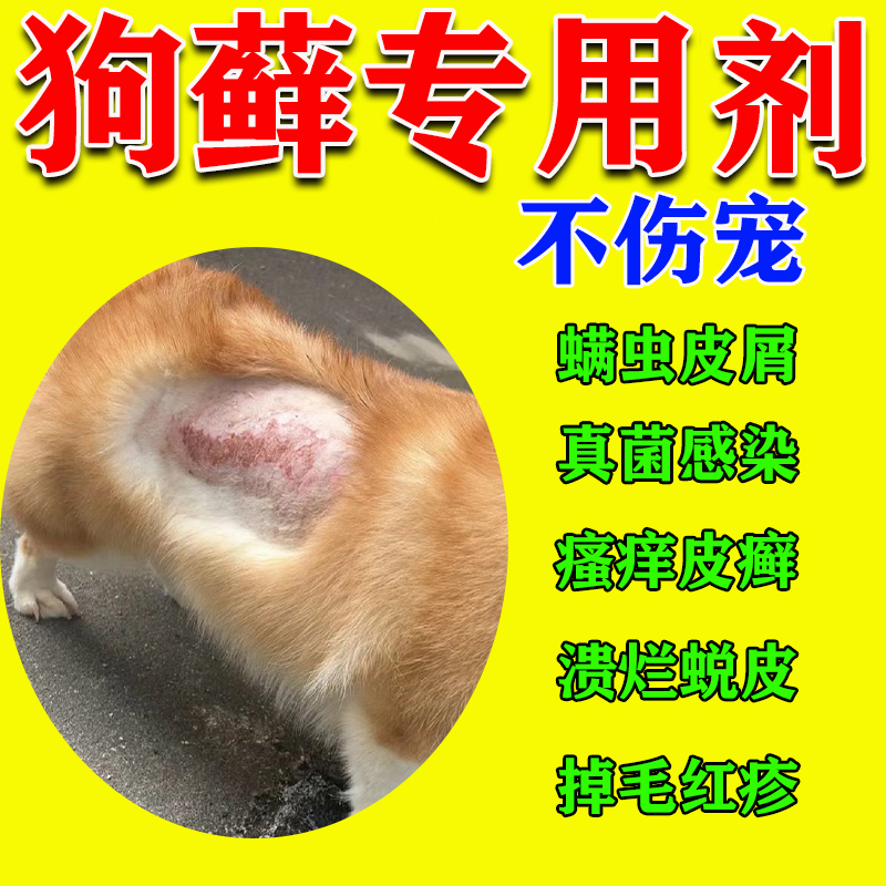 草之萃狗狗皮肤炎专用剂真菌感染