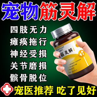 大团子筋灵解片狗狗腿瘸药关节炎修复软骨素腿瘸髌骨脱位宠物专用
