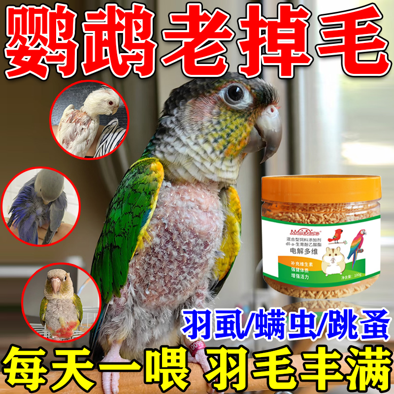 【一吃鹦鹉永不掉毛】营养补充