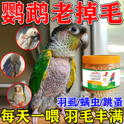 【一吃鹦鹉永不掉毛】营养补充
