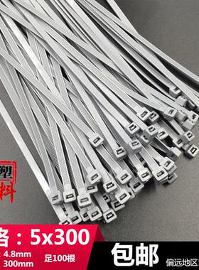 5x300国标(4.8)长30cm彩色银灰色塑料锁扣尼龙扎带足量100根新光