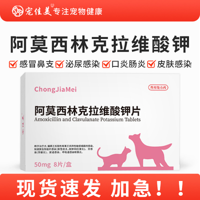 猫咪狗狗打喷嚏感冒咳嗽猫鼻支