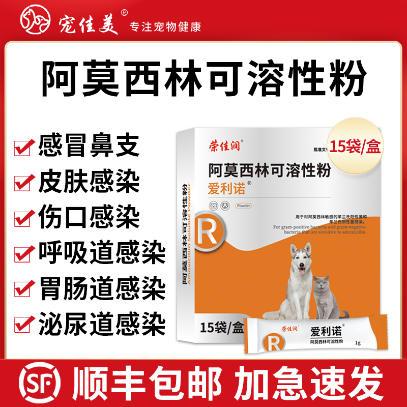 顺丰包邮加急速发阿莫西林粉消炎