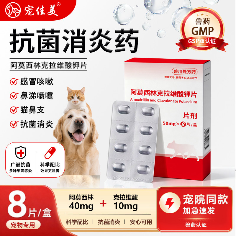 猫咪狗狗打喷嚏感冒咳嗽猫鼻支图片