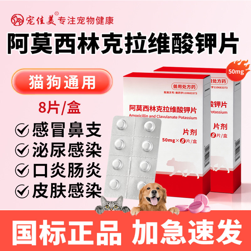 阿莫西林克拉维酸钾宠物速诺消炎