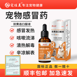 宠物双黄连口服液抗病毒猫咪狗狗清热解毒退烧犬窝咳上火发热咳嗽