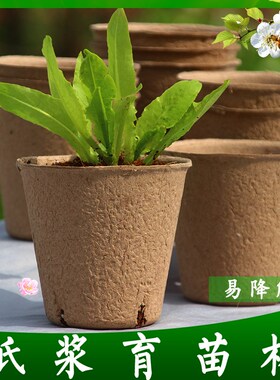 纸浆育苗盆一次性可降解花盆育苗杯培营养钵假植盆育苗扦插种植