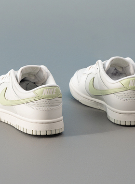 Nike耐克女鞋新款跑步鞋轻便耐磨低帮板鞋运动鞋休闲鞋IB3484