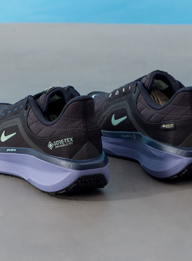 耐克（NIKE）男鞋 冬季新款运动鞋AIR WINFLO 11 GTX健身训练