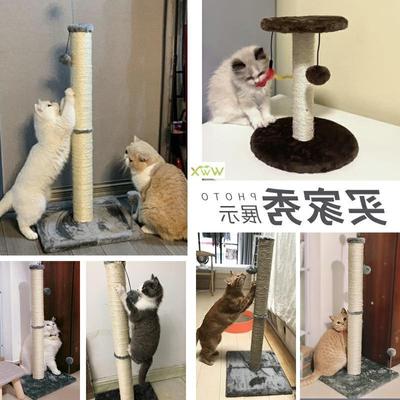 Tall Cat Scratching Post Cat Interactive Toys Cat Scratch