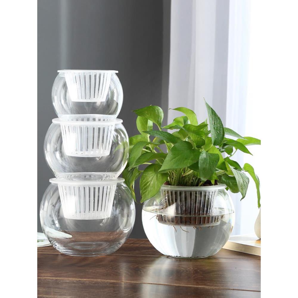 Vase furnishing articles flower arranging transparent glass