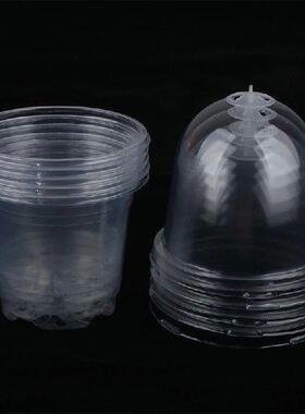 5Pcs Plant Nursery Pot Transparent Plastic PET Seed Stater