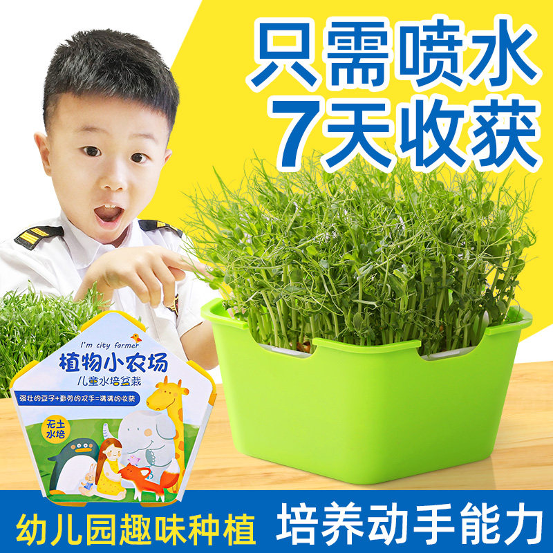 速发无土托培水培蔬菜设备上芽发芽盆芽苗菜育苗栽盘种植豆苗纸豆