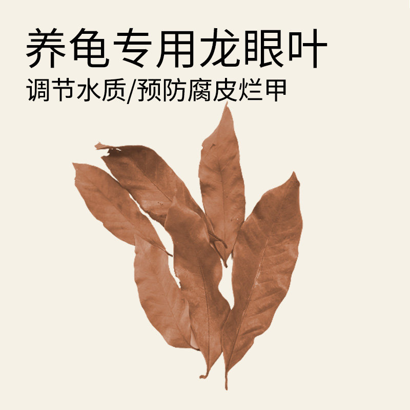 速发龟龟免煮调眼叶干腐皮烂甲龙节水质乌龟躲避鱼缸养缸生态植物