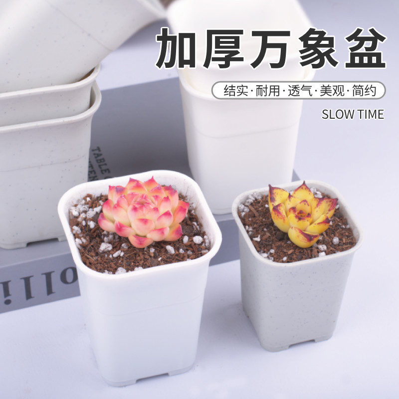 速发象盆方形加口径玉露仙人球花肉老桩多盆大厚塑料磨砂十二卷高