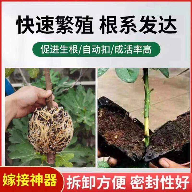 速发植物高压盒生根繁殖器扦插嫁接包高空压枝盒树木生根神器