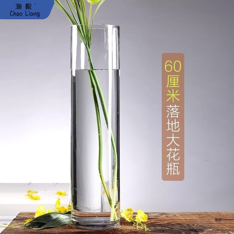 速发特大号花瓶玻璃透明插花养贵富竹转运竹水竹竹子圆柱直筒家用
