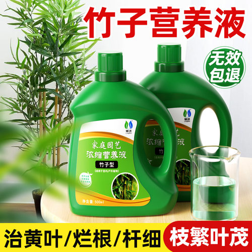 速发竹子营养液用家富贵叶水培植物专用肥治黄竹促花开通用型肥料