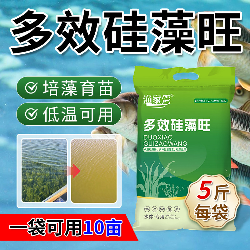 多效硅藻旺水产养殖低温肥水培藻高效硅藻种硅藻先锋多效肥水先锋