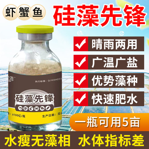 硅藻先锋高活性硅藻种低温肥水培藻调水肥水小球藻种水产养殖专用
