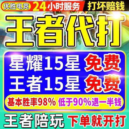 王者荣耀代打代练排位战力巅峰赛工作室金标大小国标省标陪玩上分