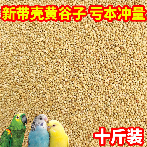 鸟食新黄谷子带壳小米饲料