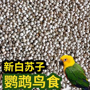 新白苏子小颗粒白苏子软苏子鸟食鸟粮鹦鹉金丝雀芙蓉鸟黄雀白苏籽
