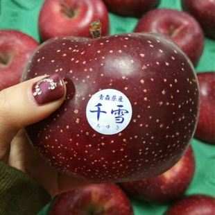 日本引进品种苹果苗千雪苹果树苗水果树苗果树苗嫁接苹果果苗脆甜