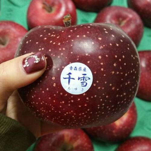 日本引进品种苹果树苗千雪水嫁