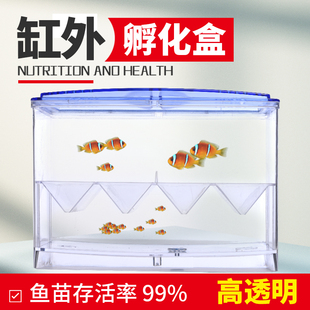 速发鱼缸隔离孵化盒孔雀鱼热缸鱼小鱼苗鱼鱼幼带外独立繁殖盒产房