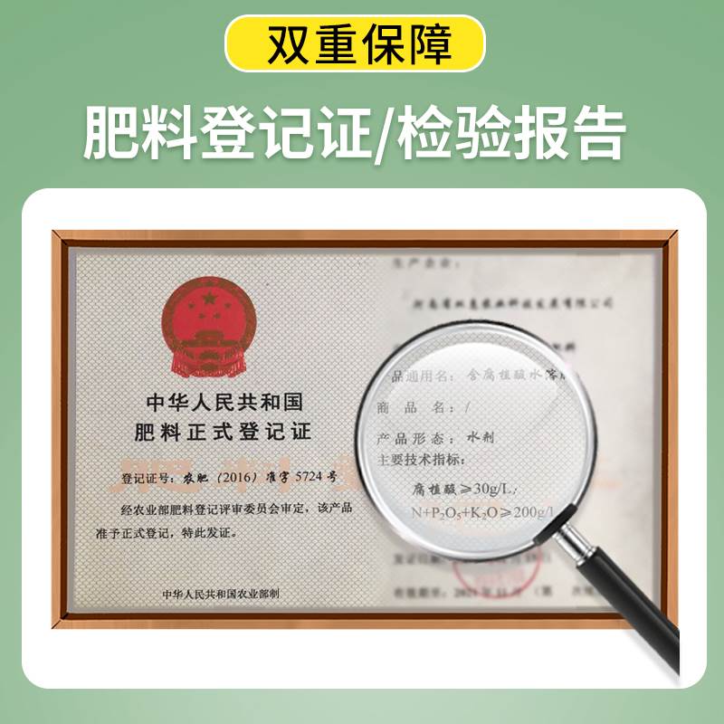 现货速发流体硼叶面肥硼肥硫体硼糖醇硼硼果树防落素防落花水溶肥