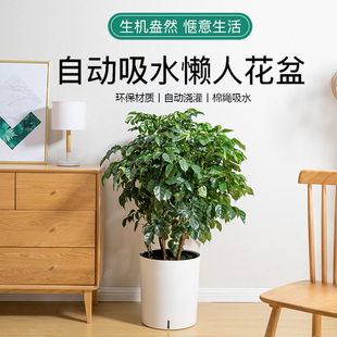 速发风自动浇灌吸水懒人花盆水客绿萝盆可储个圆形室外性厅塑料盆