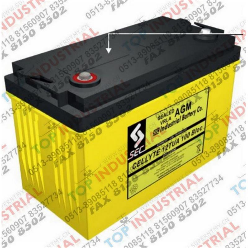 蓄电池6TUA100，SEC电池，12v100AH蓄电池进口 举报