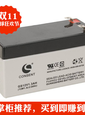 CONSENTGS12V1.3AH医疗精密器械电梯门安防应急灯