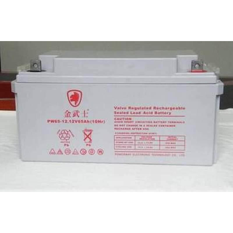 PW200-12蓄电池12V-200AH直流屏 UPS/EPS电源蓄电池