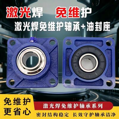 嘉运方形座带油封铸钢SBF204206