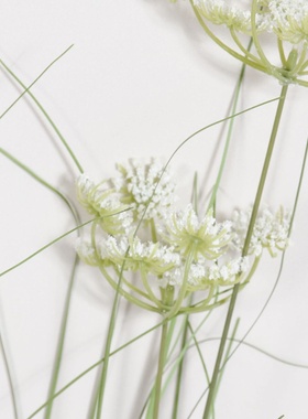 仿真芦苇单支仿真洋葱草蕾丝花假花室内家居装饰摆件拍摄摄影道具