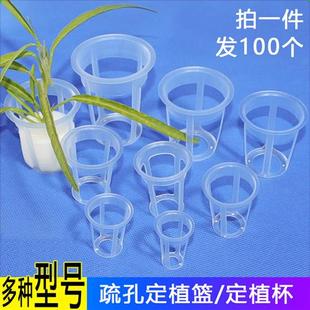 新款大孔定植篮100个 无土栽培蔬菜加深水耕定植篮 水培固根器