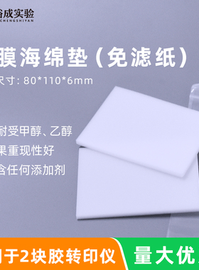 裕成实验 WB转膜海绵垫 免滤纸湿转转印棉 转膜海绵 80*110*6mm