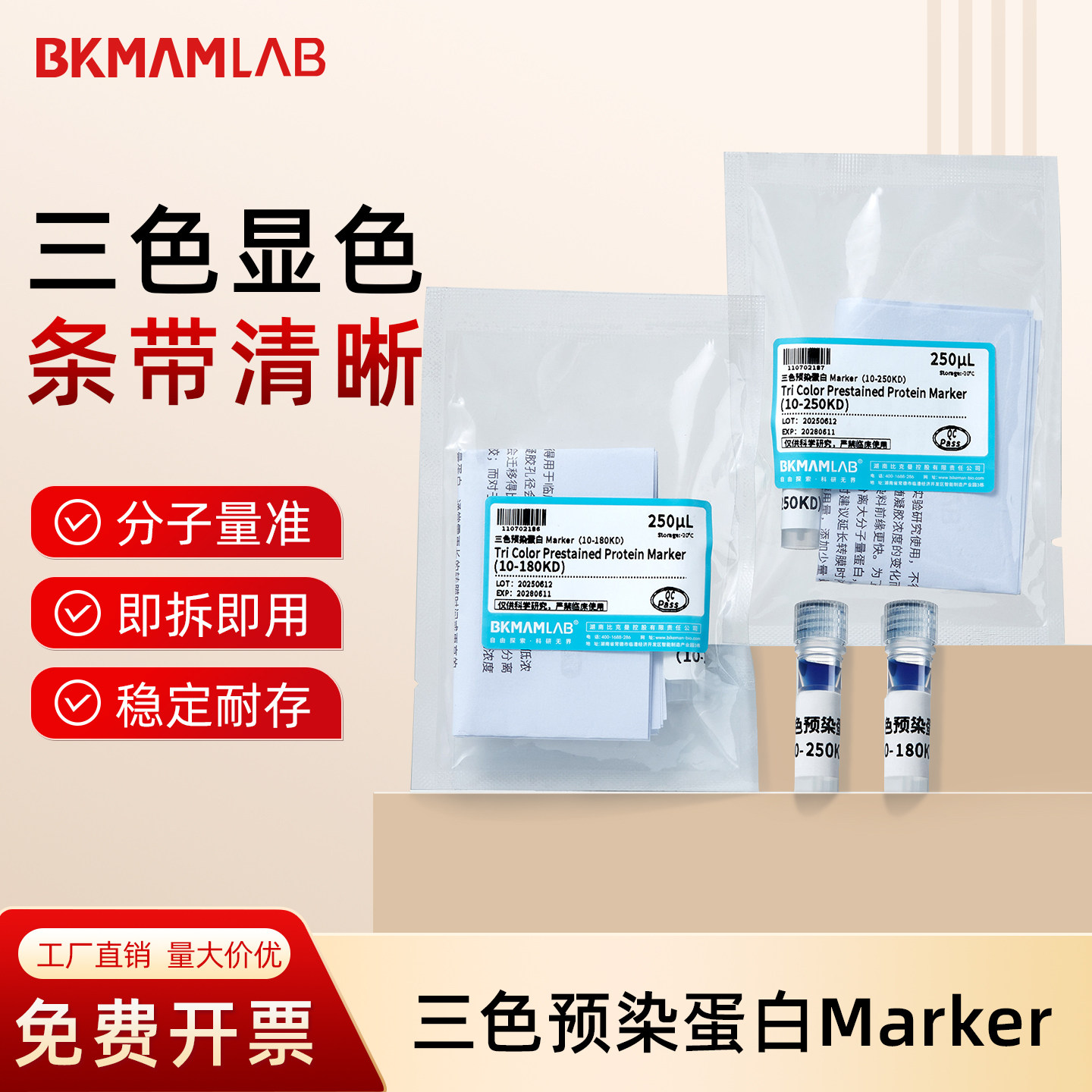 BKMAMLAB比克曼 三色预染蛋白Marker蛋白标记条带清晰分子量准 - 实物图