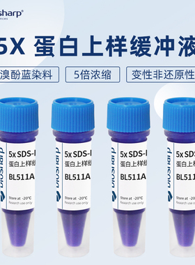 白鲨biosharp BL511A 5x SDS-PAGE蛋白上样缓冲液 变性非还原性