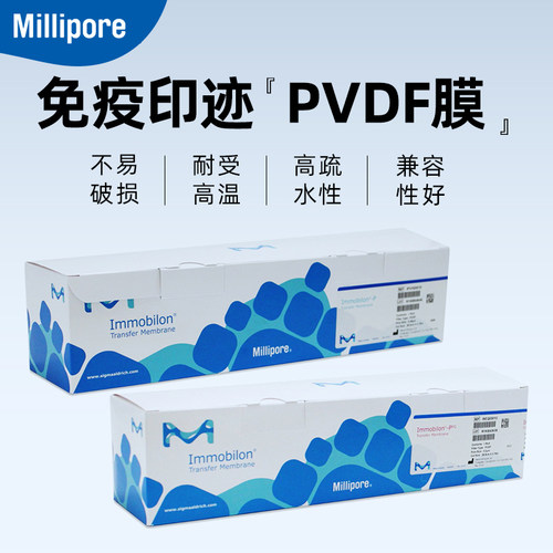 Millipore密理博  0.45u/0.22uPVDF膜 蛋白印迹转印膜  IPVH00010